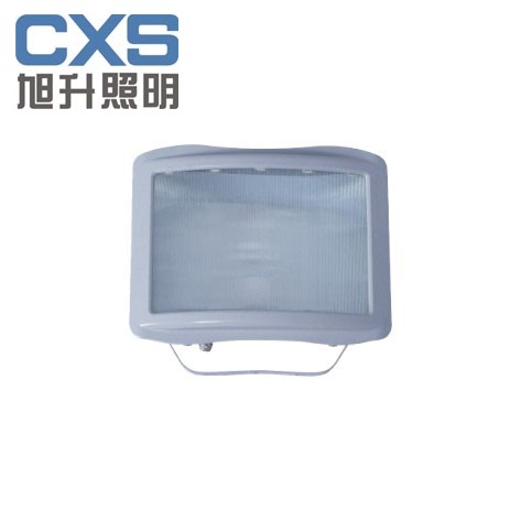 供应CNSC9720防眩通路灯，道路应急灯，电厂灯